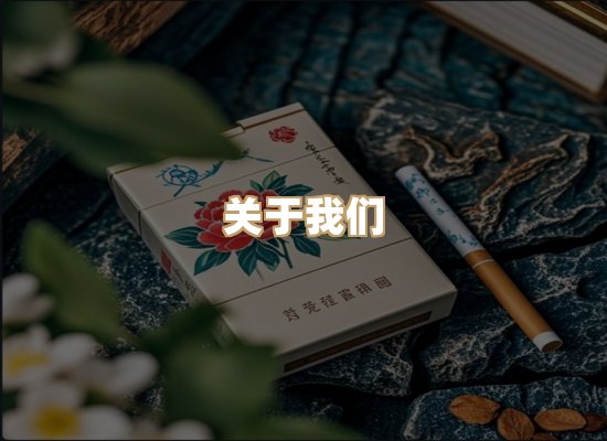 关于蓝帝网